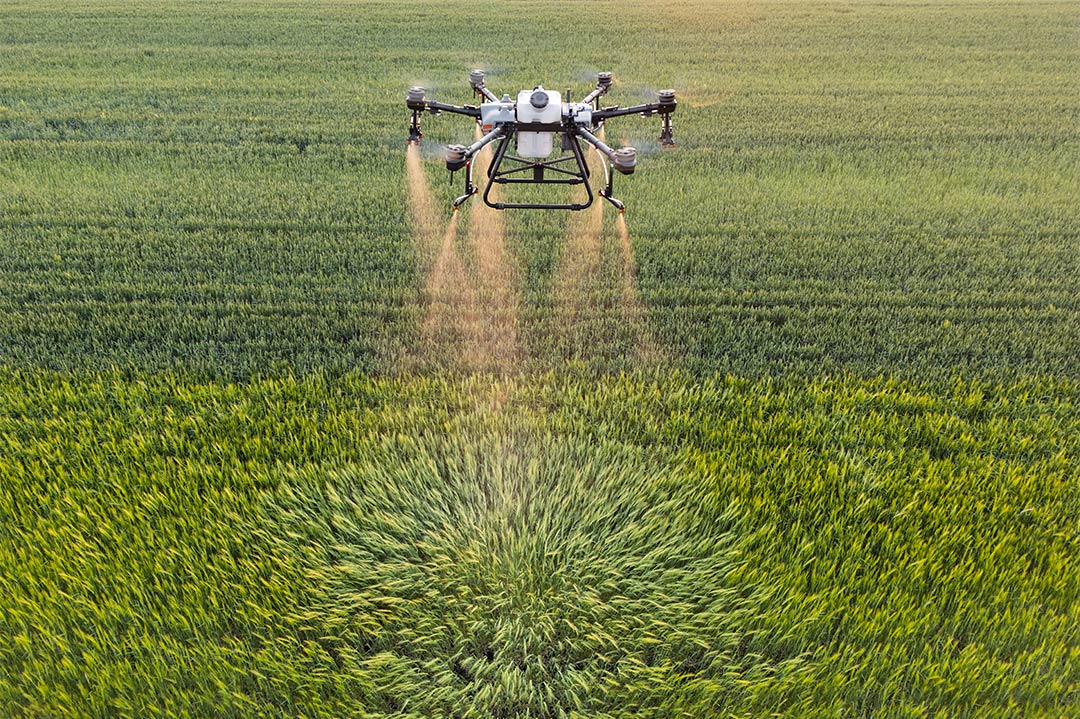Tratamientos con Fertilizantes