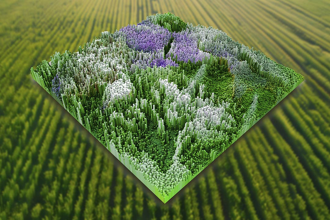 Levantamientos Topográficos de Parcelas Agrícolas